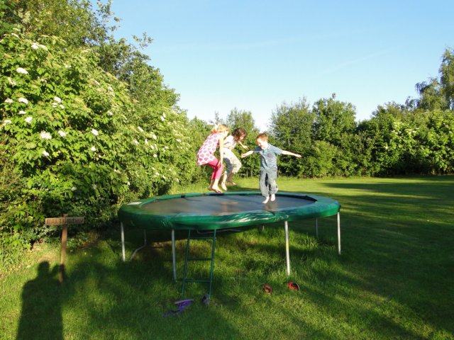 2011HWK 025.jpg